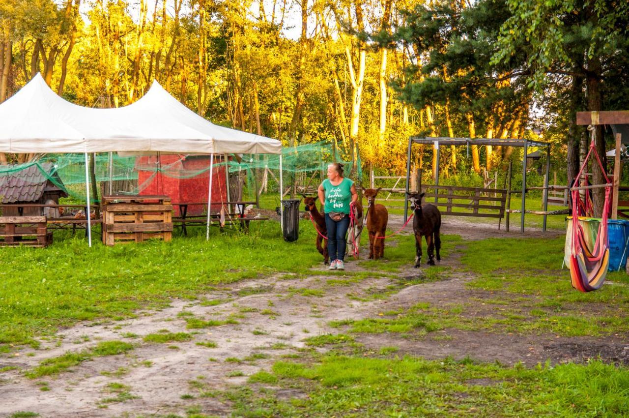 Glamping Z Alpakami Hotel Jankowice  Luaran gambar